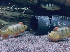-北京海洋馆