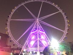 -锦江乐园舞狸花花游园会(夜场专享)