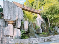 -东天目山风景区