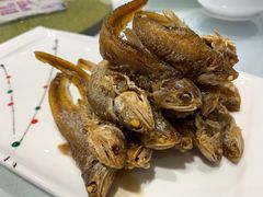 -老人和饭店(淮海中路店)