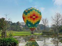 -中国科学院西双版纳热带植物园