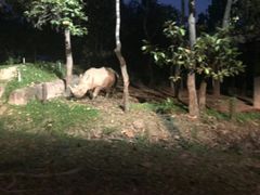-清迈夜间动物园