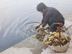 -楠溪江风景名胜区
