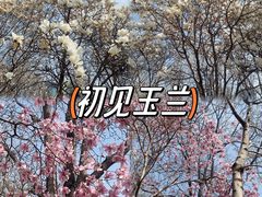 -睦南公园