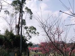 -三圣花乡旅游区