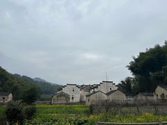 -灵山景区梯田