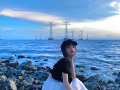 -宝安西湾红树林湿地公园