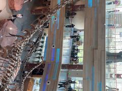 -安徽省地质博物馆