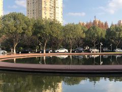 -上海市实验学校