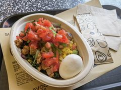 -油梨树AVOCADO TREE(顺义新国展店)