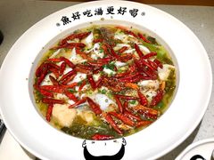 老坛酸菜鲈鱼-江渔儿酸菜鱼(港湾1号店)