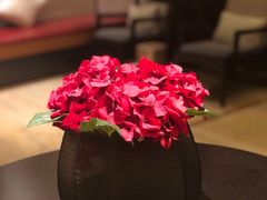 -手佳·水疗汇(杏林宁宝店)