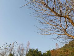 -宁波市保国寺古建筑博物馆