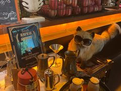 -杂咖zacup(领展中心城店)