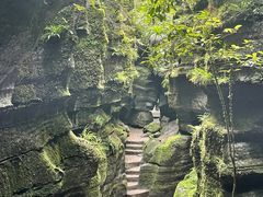 -梭布垭石林景区