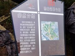 -白水寺森林公园