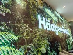 -哈根达斯(南京德基广场店)