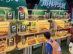 -正佳雨林生态植物园