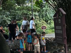 -成都市活水公园