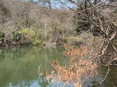 -天目湖山水园