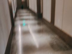 -同庆楼(天鹅酒家店)