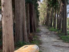 -前小桔亲子创意农场·草莓采摘·露营烧烤