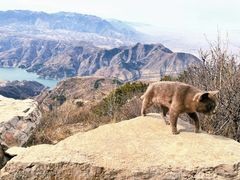 -北岳恒山