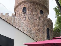 -J Create城市露营咖啡·简餐·宠物(上海动物园店)