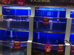 水产区-七欣天香辣蟹火锅(南京夫子庙店)