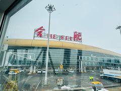 -合肥新桥国际机场-航站楼