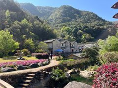 -雁南飞茶田景区