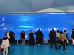 -泉城欧乐堡海洋极地世界