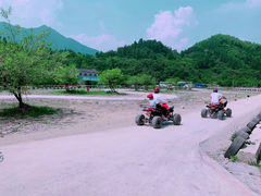 -杨家寨