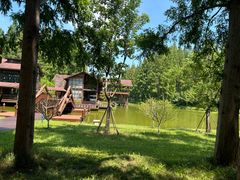 -黄海国家森林公园