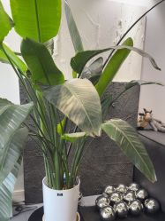-春田皮肤管理中心品牌旗舰店