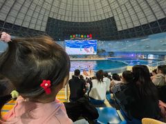 -泉城欧乐堡海洋极地世界