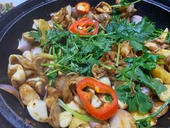-港升鱼师傅·中山脆肉鲩