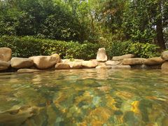 -天目湖涵田半山温泉