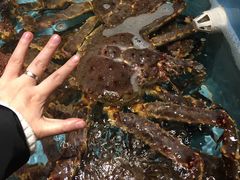 -尚海豆捞(乐虹坊店)