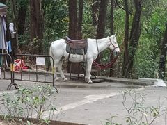 -榴花公园