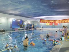 -阳光国际游泳培训基地