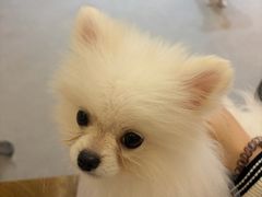 -大汉足道·影院式足疗按摩SPA(友谊广场店)
