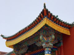 -塔尔寺-菩提树
