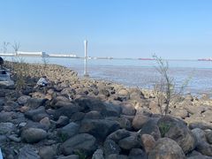-上海吴淞炮台湾国家湿地公园