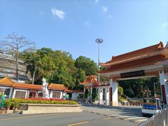 -深圳仙湖植物园
