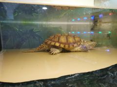 -上海昆虫博物馆