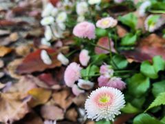 -华东政法大学(松江校区)