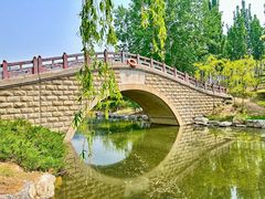 -大兴滨河森林公园