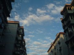 -璐坊粽王(复兴中路店)