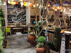 -船歌·鱼水饺青岛菜(合肥路永旺店)